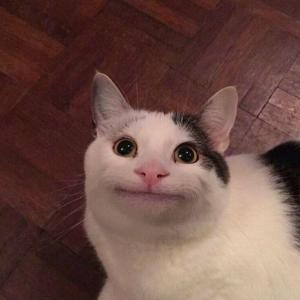 Twistek