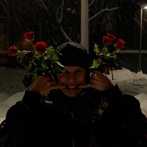 Александр Шейд