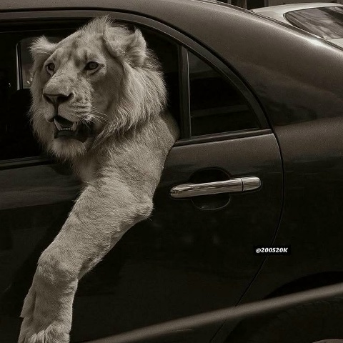 Виктор Гилёв